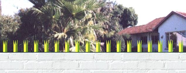 Wall spikes 30x30 long